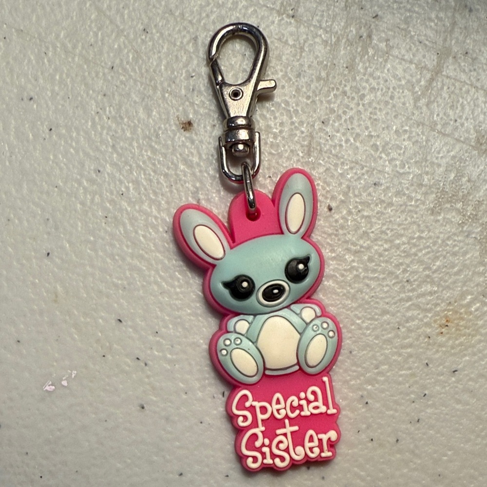 Pink and Blue Special Sister Zipper Pull